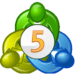 mt5-1